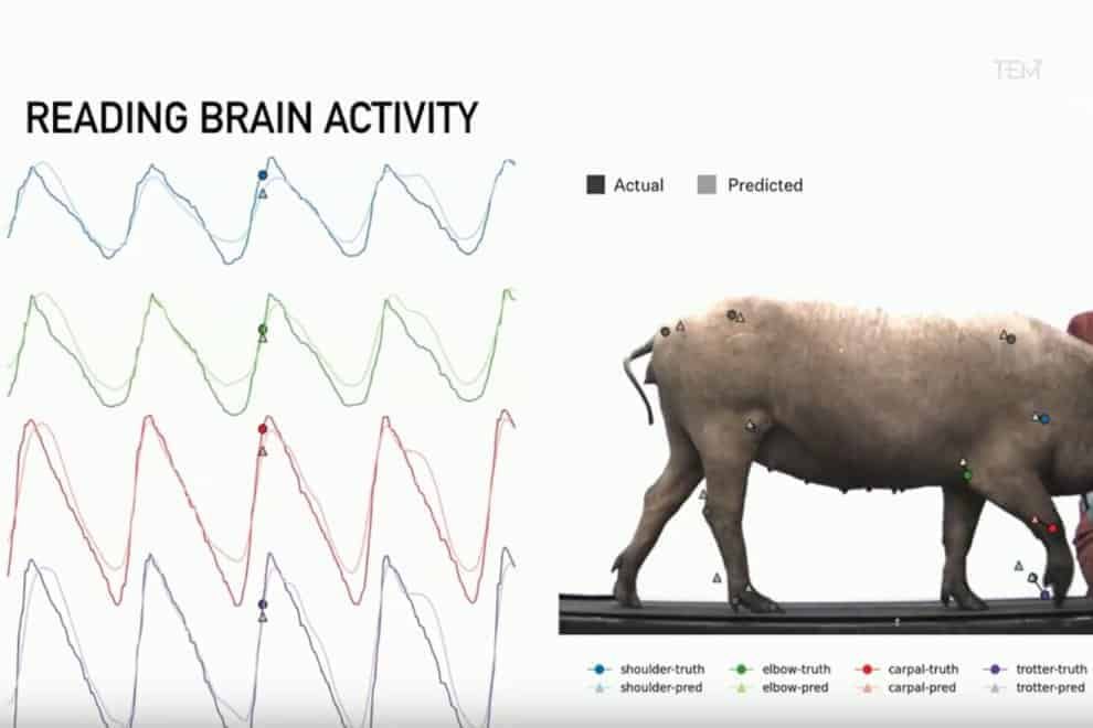 Neuralink