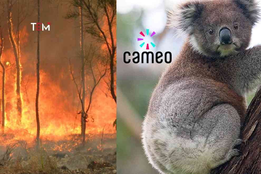 bushfires