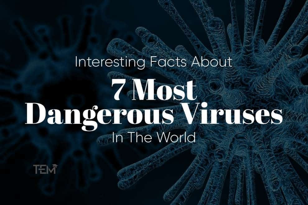 Most Dangerous Viruses