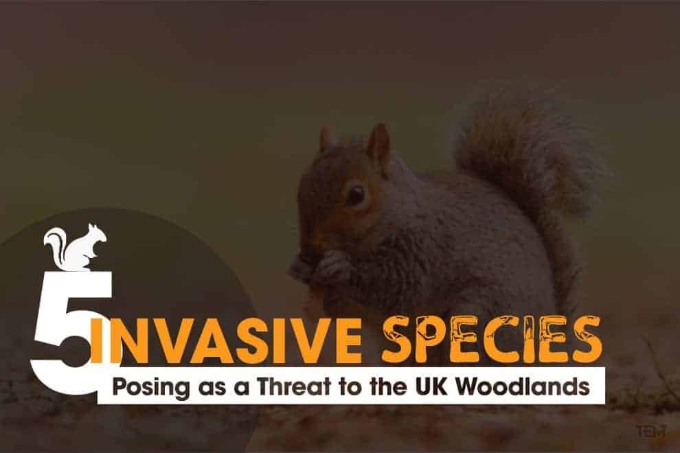 Invasive Species