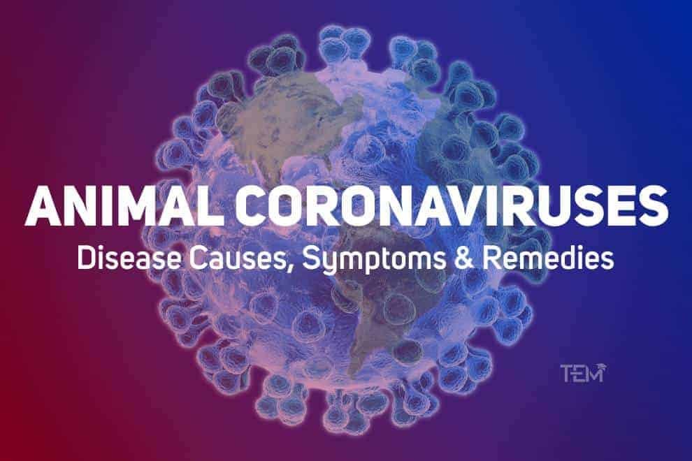 Animal Coronaviruses