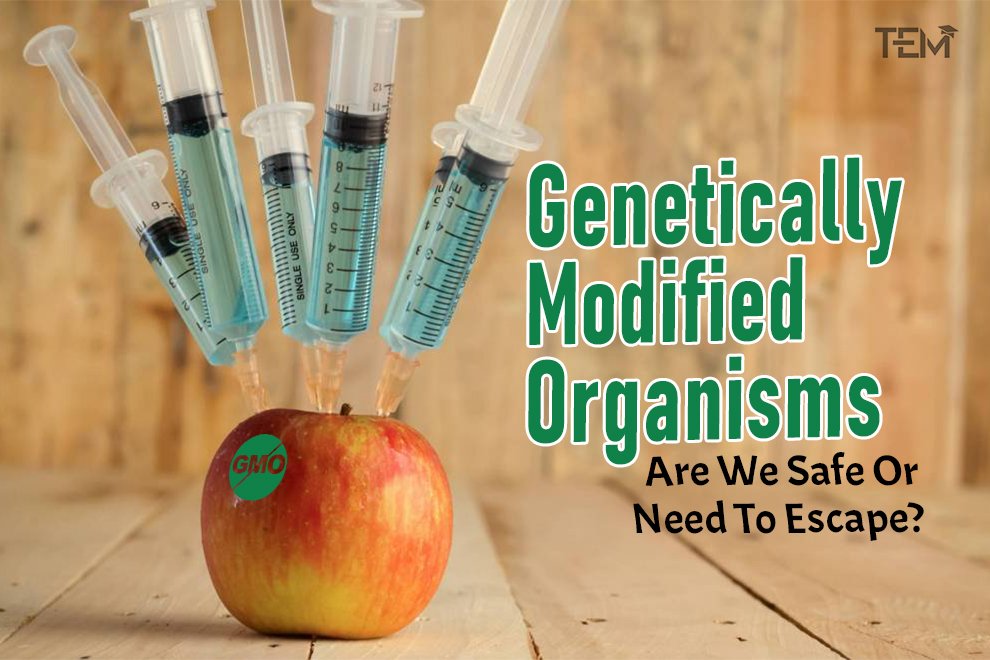 Genetically Modified Organisms