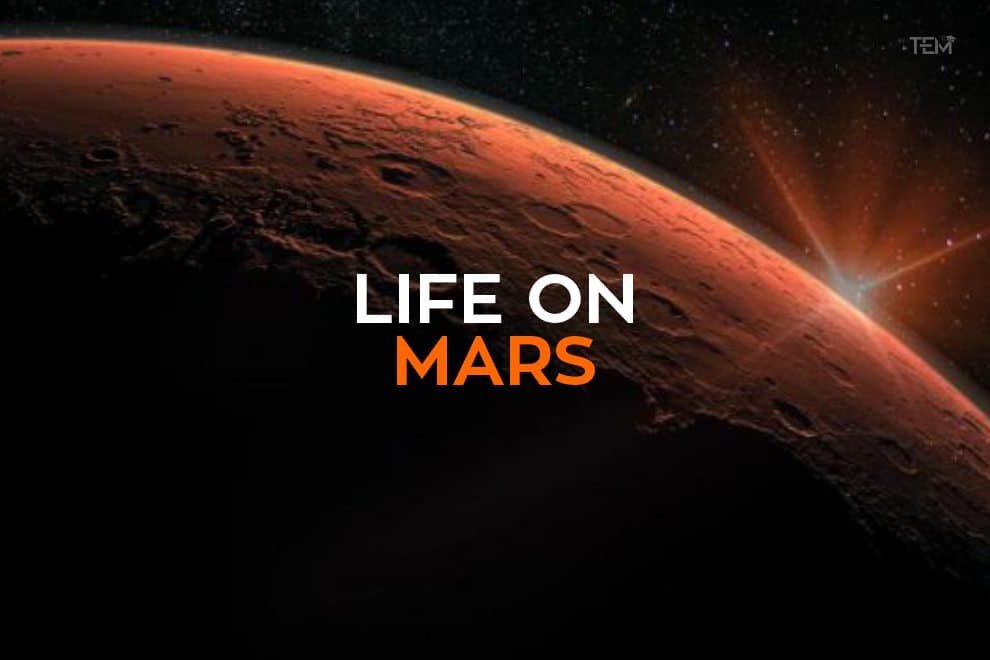 Life on Mars