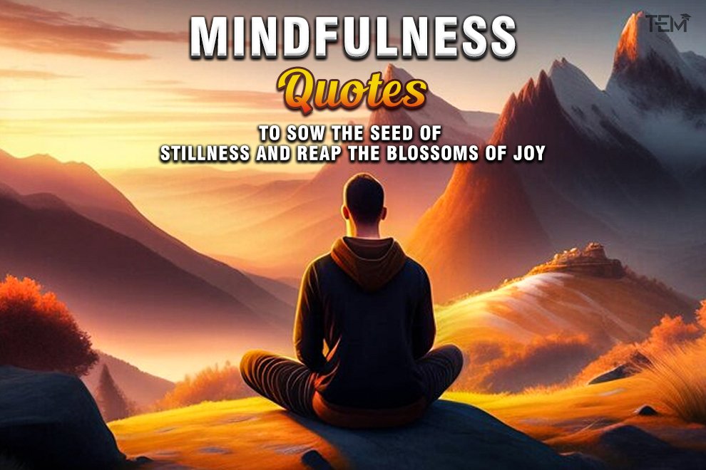 Mindfulness Quotes