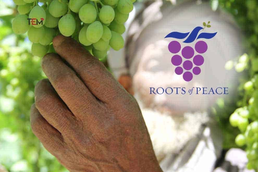 Roots of Peace