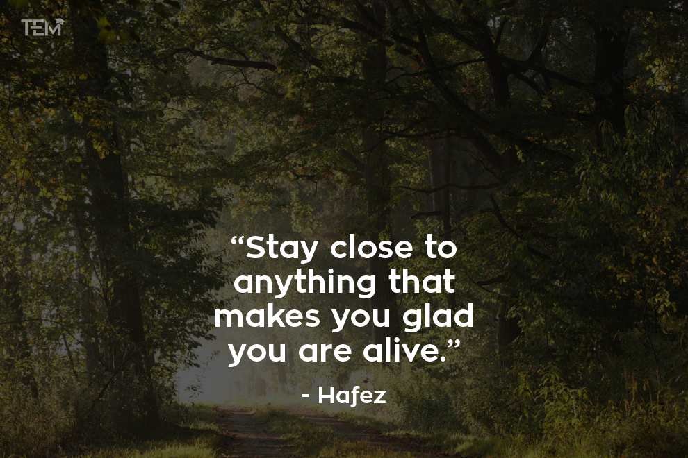 short-quotes-about-motivation-Hafez