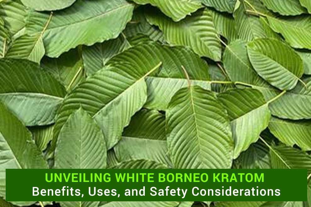 White Borneo Kratom