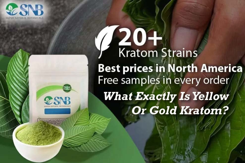 Yellow and Gold Kratom